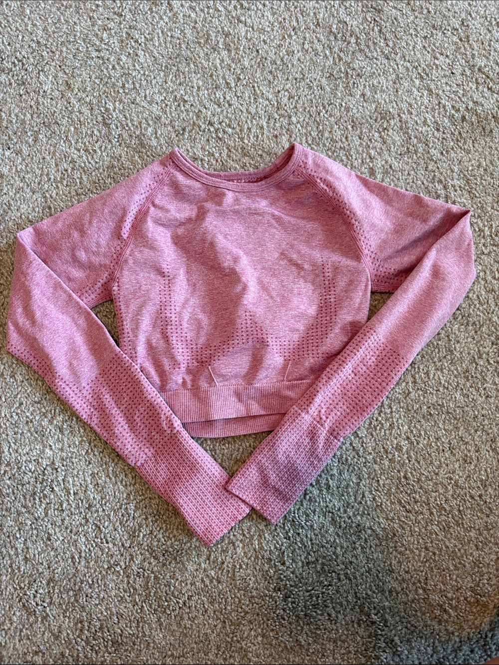 Pink Long Sleeve Cropped Active Top